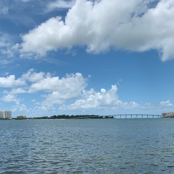 about PARROT KATIE🎀 - Picture 4 of 9